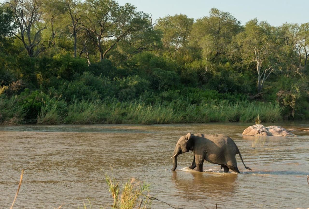 Kruger Shalati - Train On The Bridge & Garden Suites Skukuza Bagian luar foto