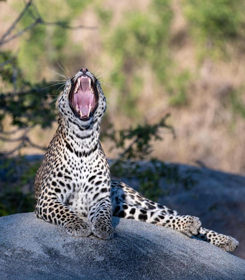 Kruger Shalati - Train On The Bridge & Garden Suites Skukuza Bagian luar foto